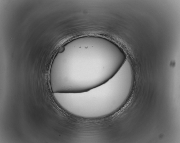 X0000100421169200806060941