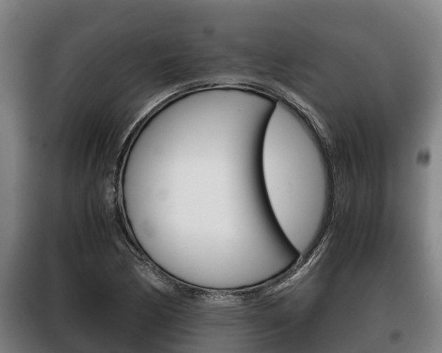 X0000100421170200806060941