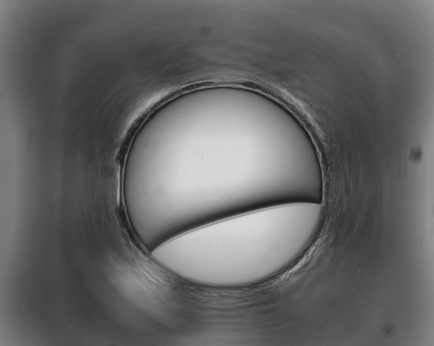 X0000100421171200806060941