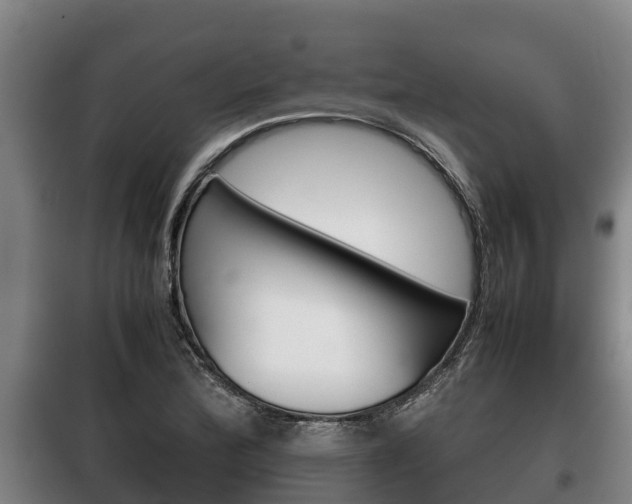 X0000100421172200806060941