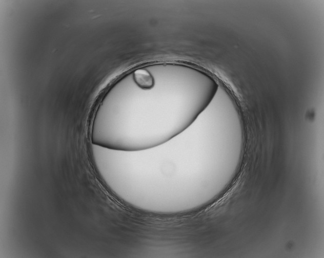 X0000100421173200806060941