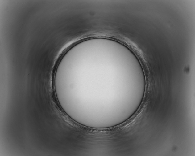 X0000100421174200806060941
