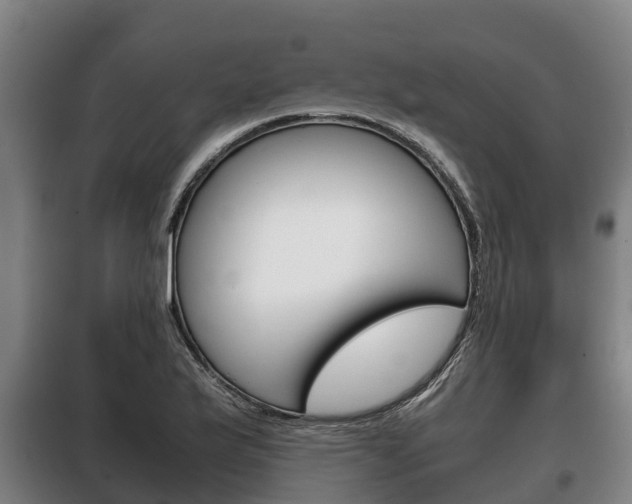 X0000100421175200806060941