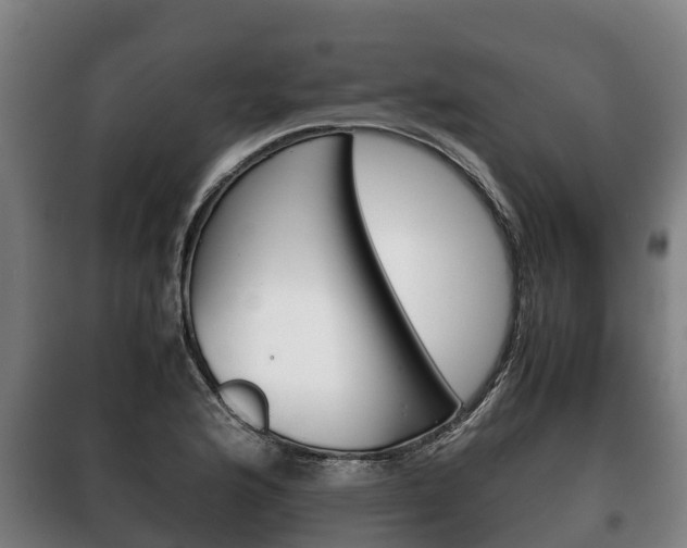X0000100421176200806060941