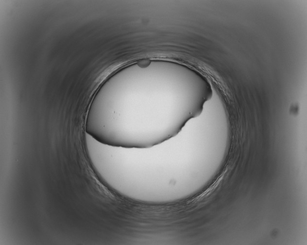 X0000100421177200806060941