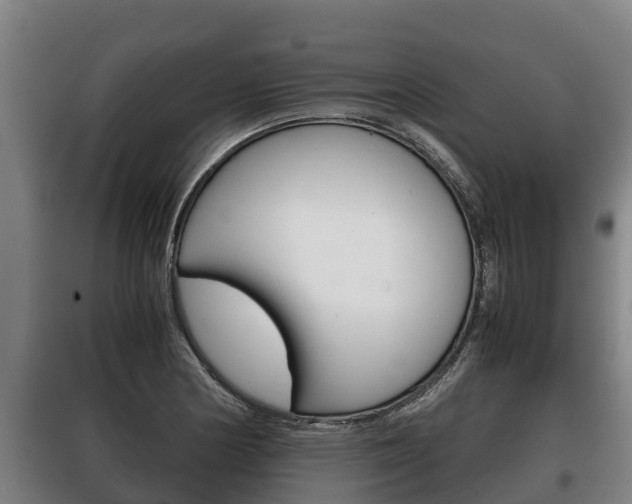 X0000100421178200806060941