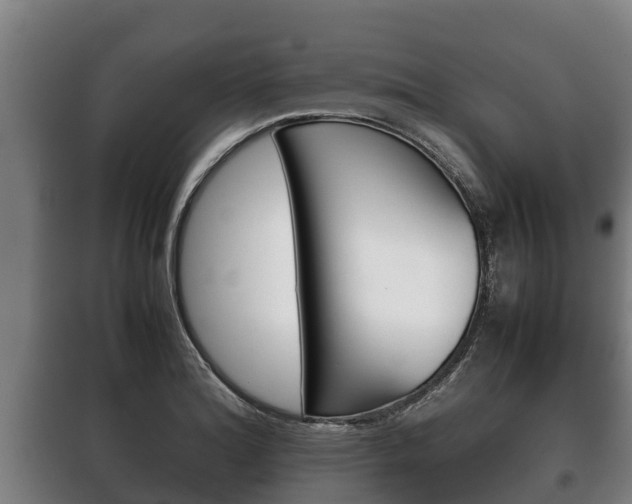 X0000100421180200806060941