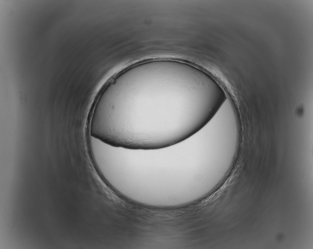 X0000100421181200806060941