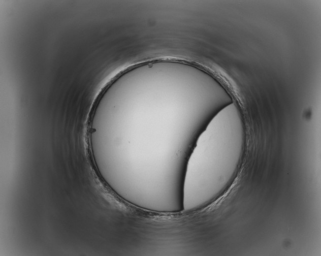 X0000100421182200806060941