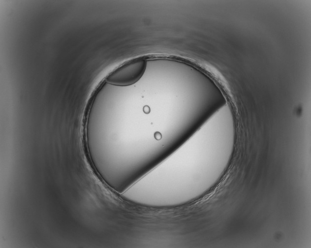 X0000100421183200806060941