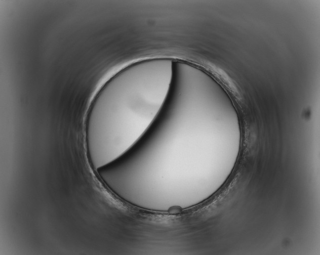 X0000100421184200806060941
