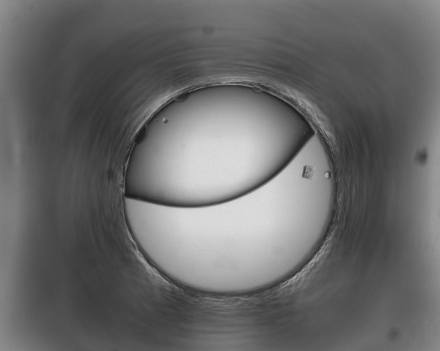 X0000100421185200806060941