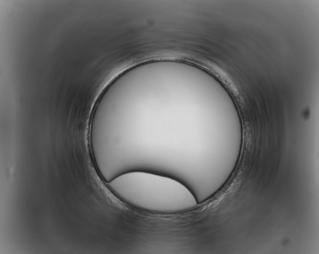 X0000100421186200806060941