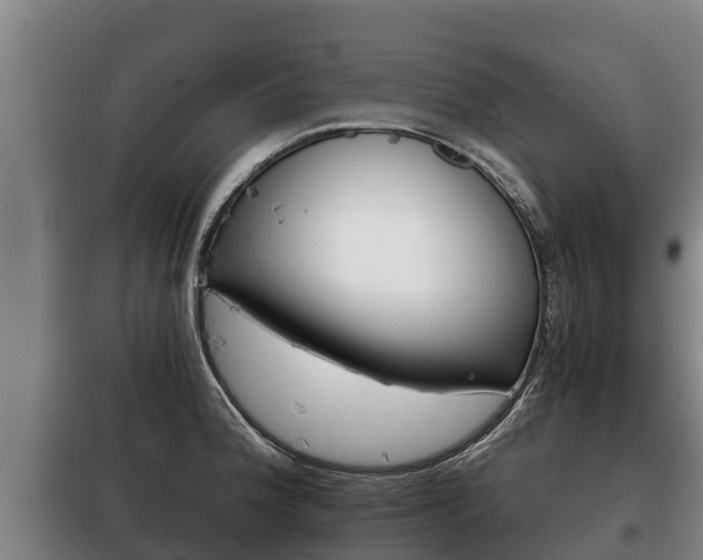 X0000100421188200806060941