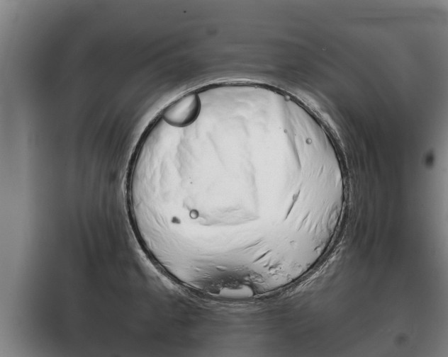 X0000100421189200806060941