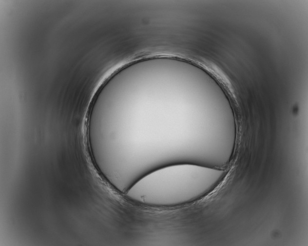 X0000100421190200806060941