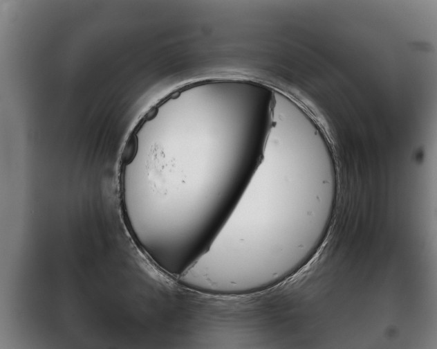 X0000100421192200806060941