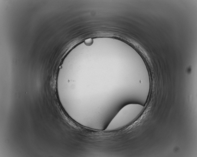 X0000100421193200806060941