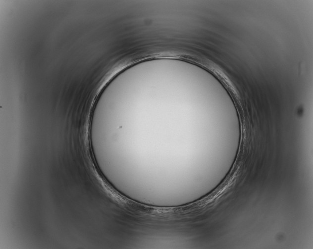 X0000100421194200806060941