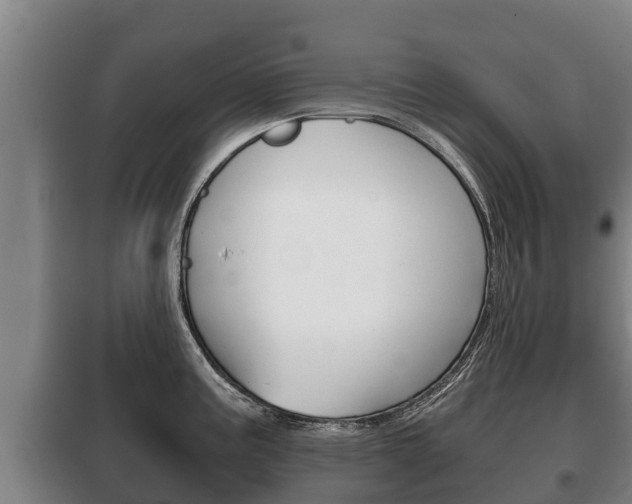 X0000100421195200806060941