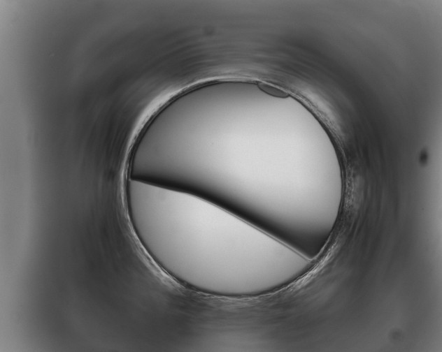 X0000100421196200806060941