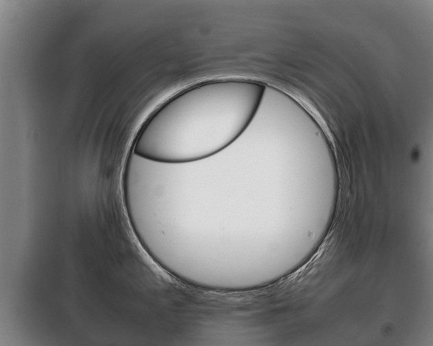 X0000100421197200806060941