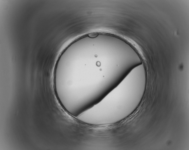 X0000100421199200806060941