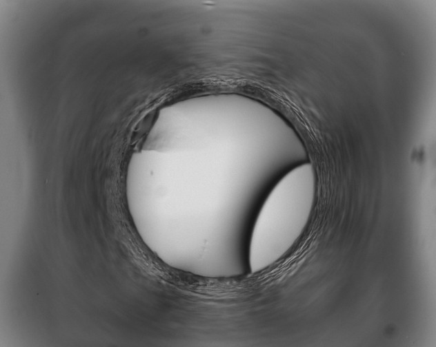 X0000100421201200806060940