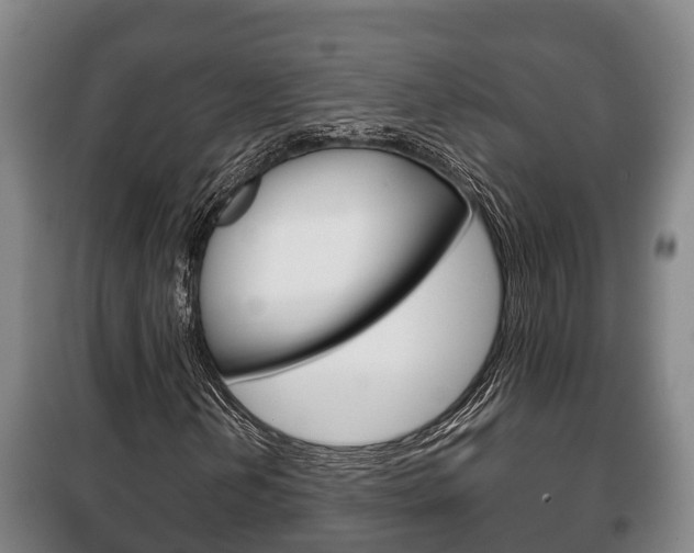 X0000100421202200806060940