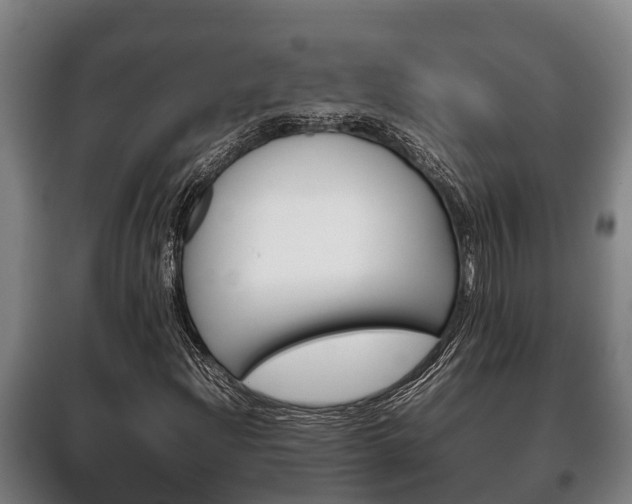 X0000100421204200806060940
