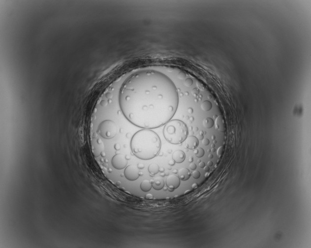 X0000100421205200806060940