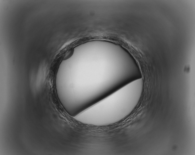 X0000100421206200806060940