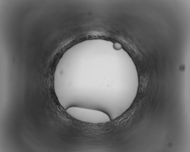 X0000100421207200806060940