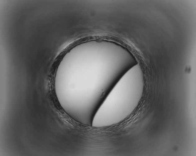 X0000100421208200806060940