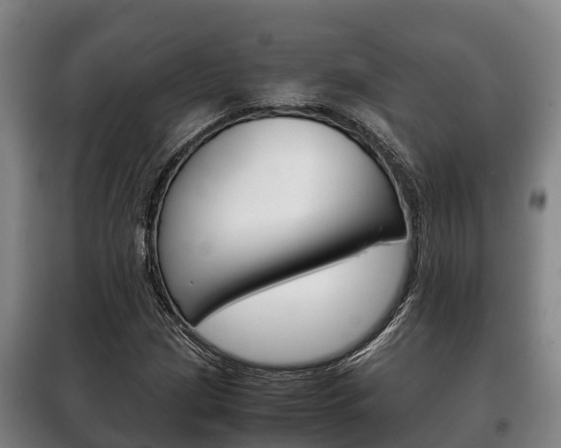 X0000100421209200806060940