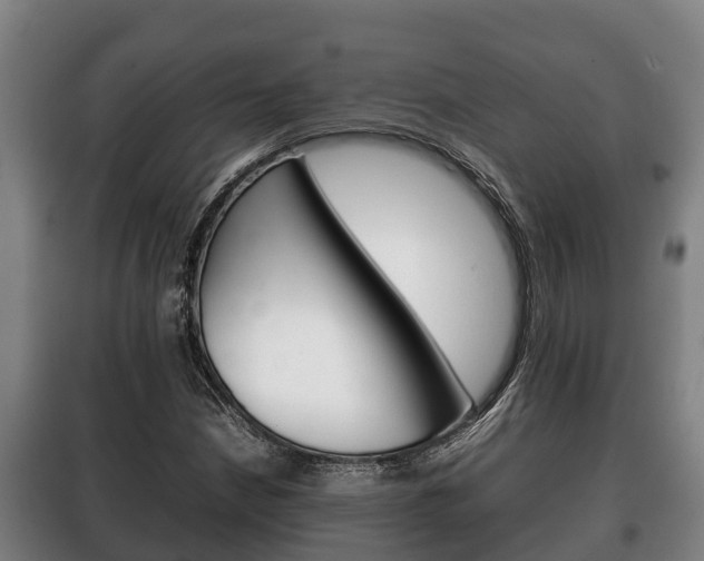 X0000100421210200806060940