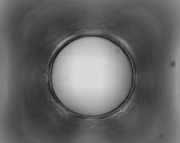 X0000100421212200806060940