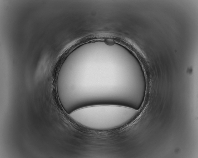 X0000100421213200806060940