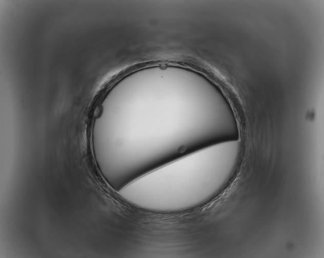 X0000100421214200806060940