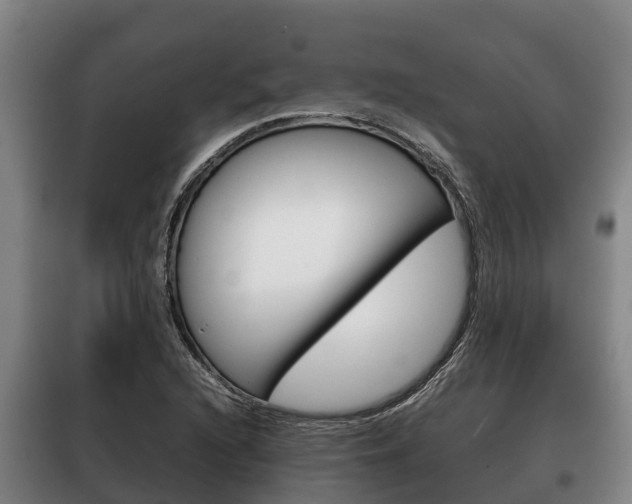 X0000100421216200806060940