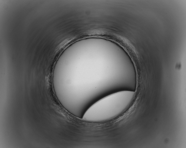 X0000100421217200806060940