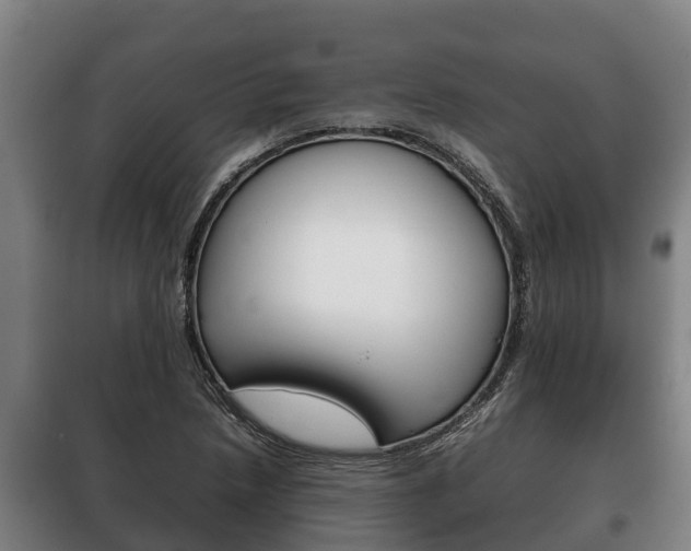 X0000100421218200806060940