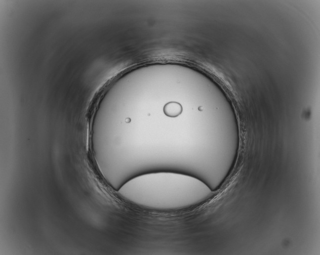 X0000100421219200806060941