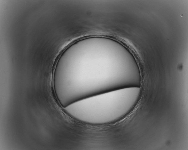 X0000100421220200806060941