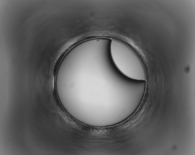 X0000100421221200806060941
