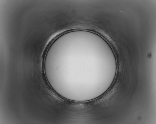 X0000100421222200806060941