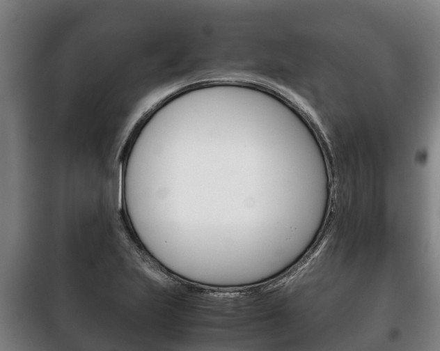 X0000100421223200806060941
