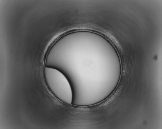 X0000100421224200806060941