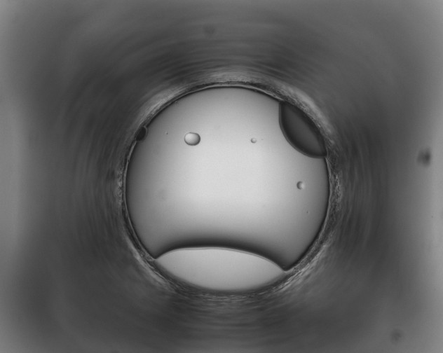 X0000100421225200806060941