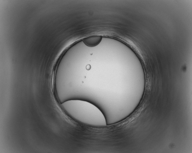 X0000100421227200806060941